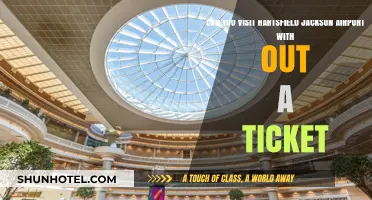 Exploring Hartsfield-Jackson Airport: Can Non-Passengers Visit Without a Ticket?