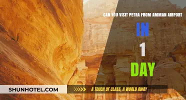 One-Day Petra Adventure: Direct from Amman Airport to Ancient Wonders