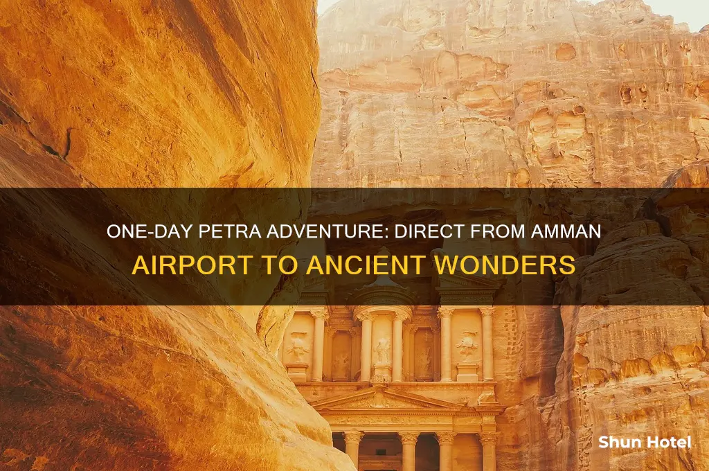 can you visit petra from amman airport in 1 day