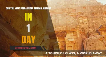 One-Day Petra Trip: Feasible from Amman Airport?