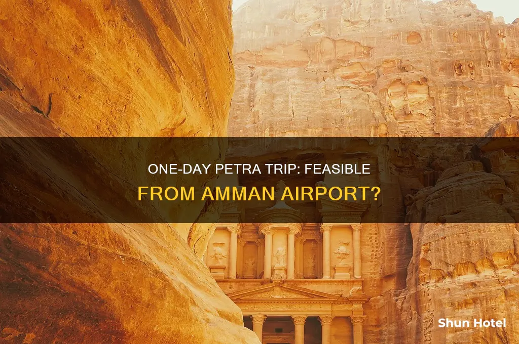 can you visit petra from ammon airport in 1 day