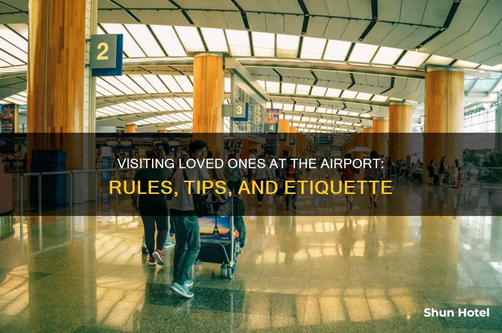 can you visit someone at the airport