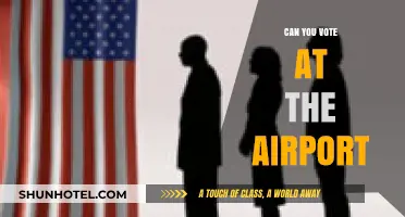 Can You Vote at the Airport? Exploring Polling Place Options