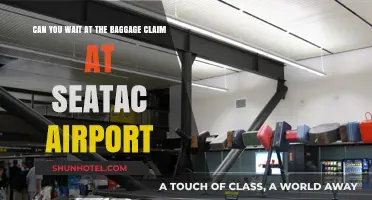 Waiting at SeaTac Airport's Baggage Claim: What You Need to Know