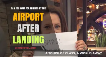 Waiting at the Airport: Is It Okay to Meet Friends Post-Landing?