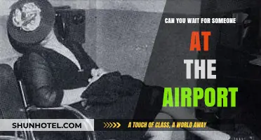 Waiting at the Airport: Is It Worth It for Love or Friendship?