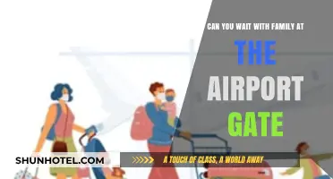 Waiting with Family at the Airport Gate: Rules and Etiquette Explained