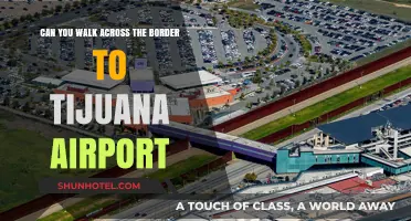 Walking to Tijuana Airport: Border Crossing Guide and Tips