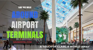 Exploring Airport Terminals: Can You Walk Around Freely?