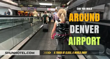 Exploring Denver Airport: A Walkable Guide to DIA's Layout