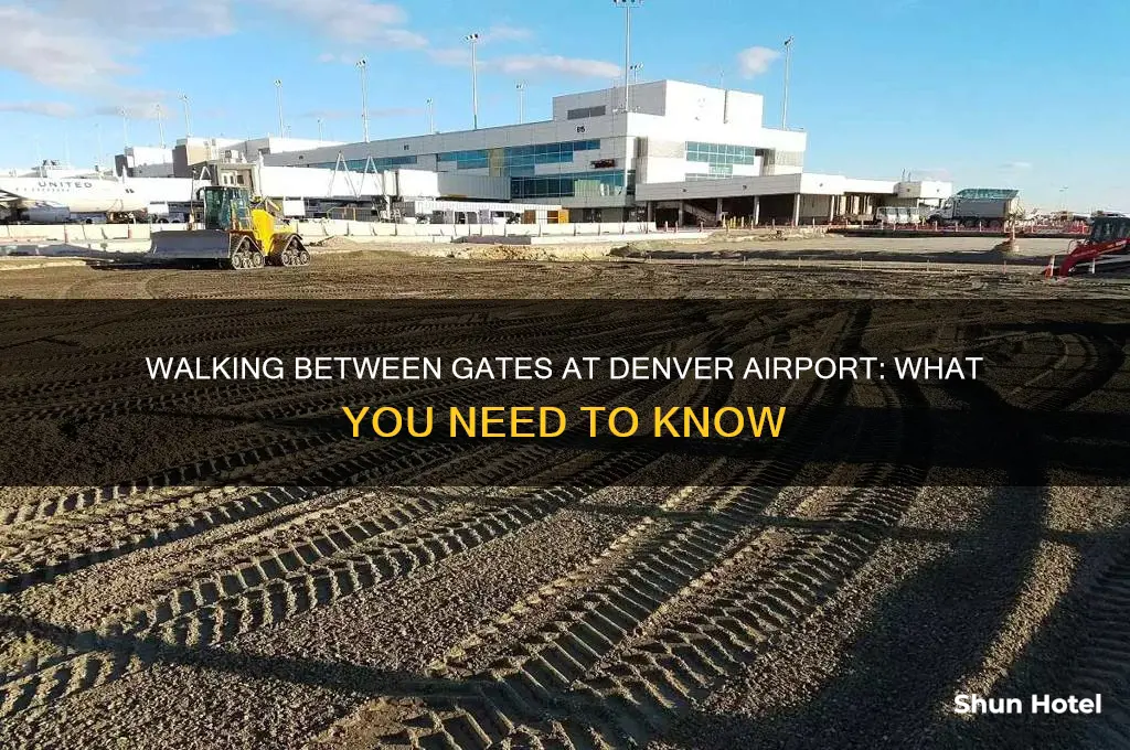 can you walk between gates at denver airport