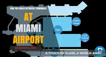 Miami Airport Terminals: Can You Walk Between Them?