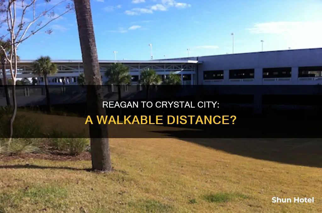 can you walk from raegan airport to crystal city shops
