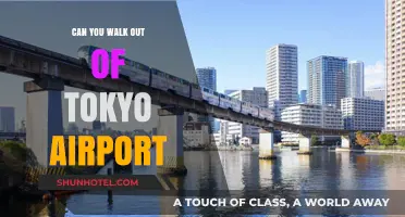 Exploring Tokyo by Foot: Walking Out of the Airport