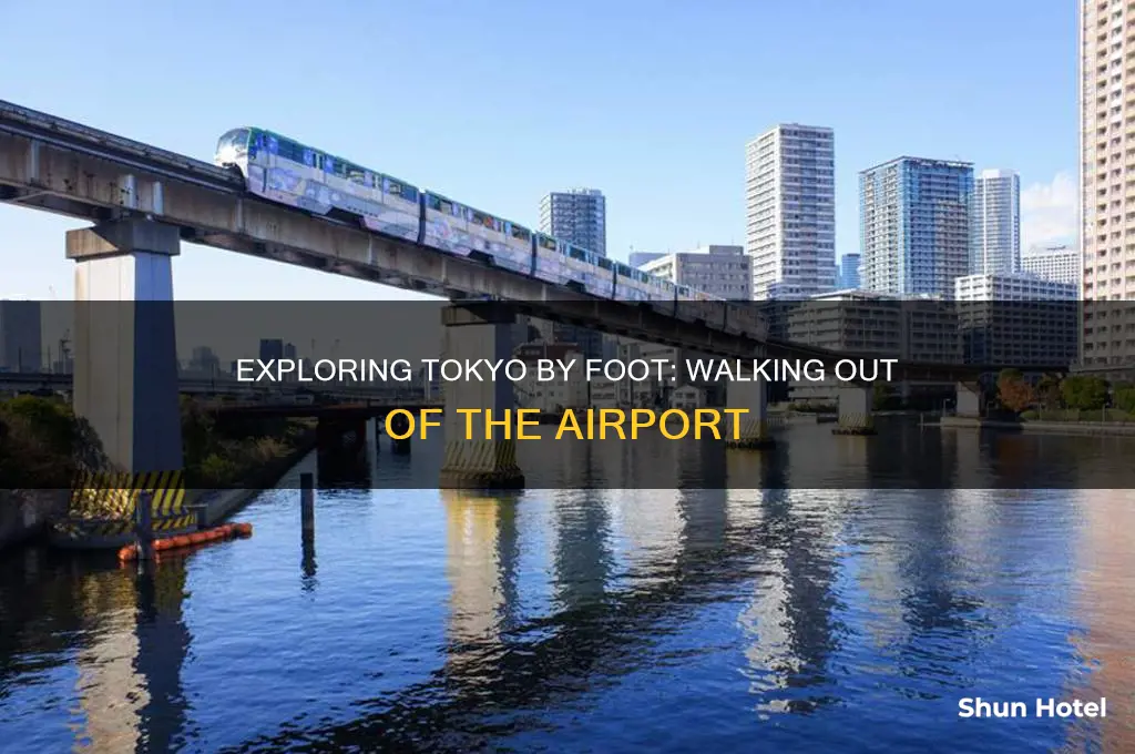can you walk out of tokyo airport