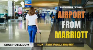 Exploring Marriott to Tampa Airport Walkability