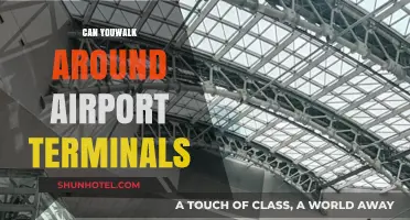 Exploring Airport Terminals: Can You Walk Around?