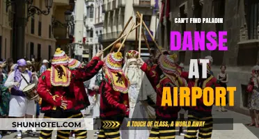 Where is Paladin Danse? Exploring the Airport Mystery
