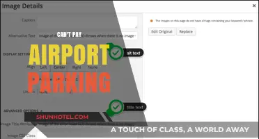 Explore Options When Unable to Pay Airport Parking