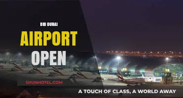 Dubai Airport's Grand Opening: A New Era in Global Aviation