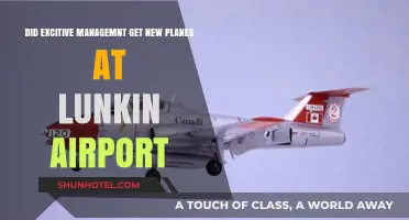 Executive Management's New Planes at Lunkin Airport: Fact or Fiction?