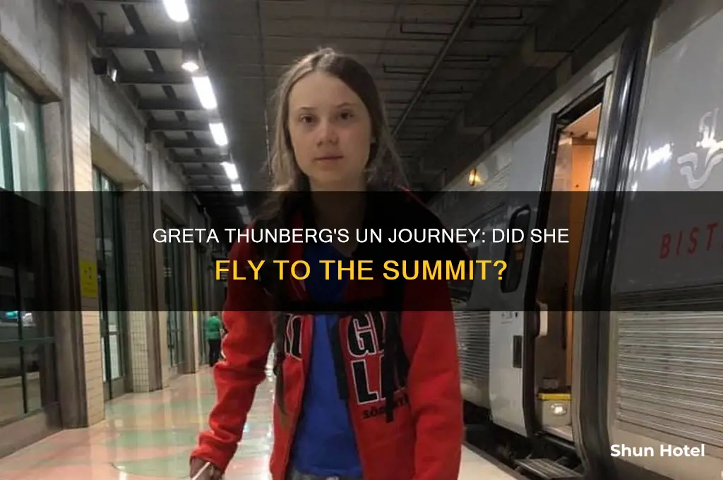 did greta tunberg fly to the united nations airport