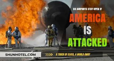 Airports in Crisis: Operations During a National Emergency in America