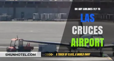 Which Airlines Service Las Cruces Airport: A Comprehensive Guide