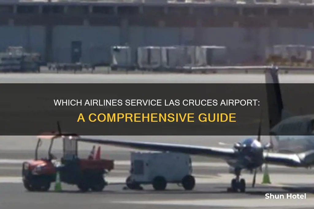do any airlines fly to las cruces airport