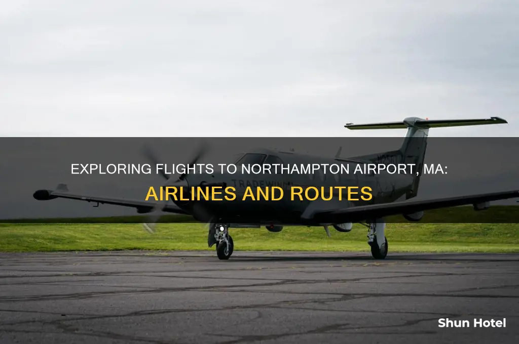 do any airlines fly to northampton airport ma