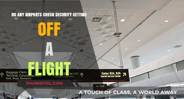 Do Airports Conduct Security Checks When Passengers Disembark Flights?