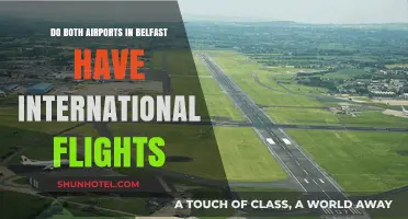 Belfast's Airports: International Flight Options and Travel Insights