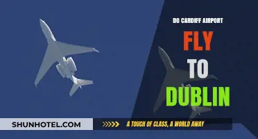 Cardiff to Dublin Flights: Routes, Airlines, and Travel Tips