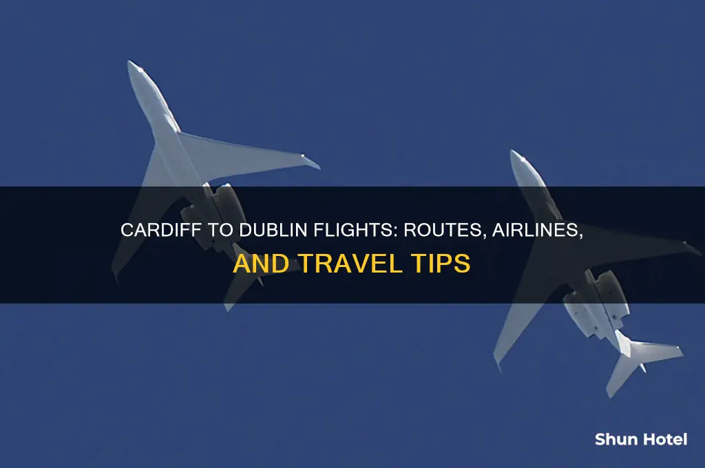 do cardiff airport fly to dublin
