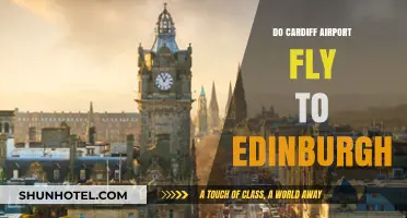 Cardiff to Edinburgh Flights: Routes, Airlines, and Travel Tips