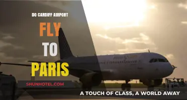 Cardiff Airport to Paris: Flight Options and Travel Tips