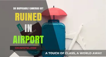 Do Disposable Cameras Survive Airport Security? Tips to Protect Your Film