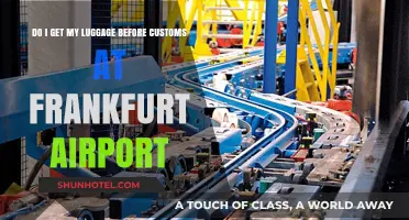 Frankfurt Airport Luggage Process: Before Customs or After? A Guide