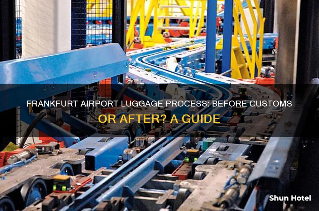 do i get my luggage before customs at frankfurt airport