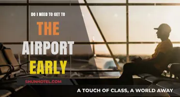 Should You Arrive Early at the Airport? Tips for Stress-Free Travel