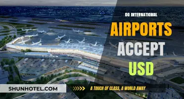 Can You Use USD at International Airports? A Traveler's Guide
