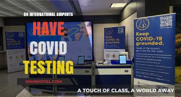 Do International Airports Offer COVID Testing? A Global Traveler's Guide