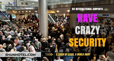 International Airport Security: Unveiling the Truth Behind the Chaos