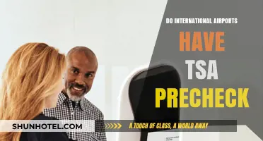 Do International Airports Offer TSA PreCheck? A Traveler's Guide