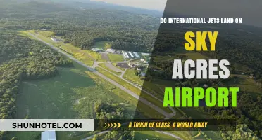 Do International Jets Land at Sky Acres Airport? Facts Revealed