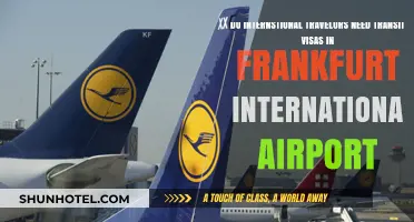 Do International Travelers Need Transit Visas at Frankfurt Airport?