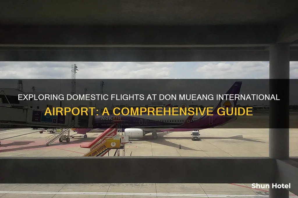 do mueang international airport domestic flights