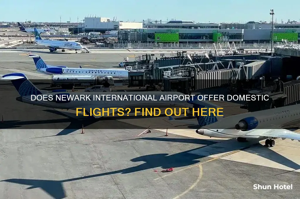 do newark international airport fly domestic