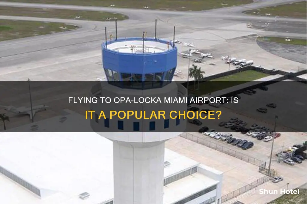 do people fly to opa locka miami airport