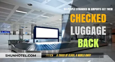 Stranded at the Airport: What Happens to Your Checked Luggage?
